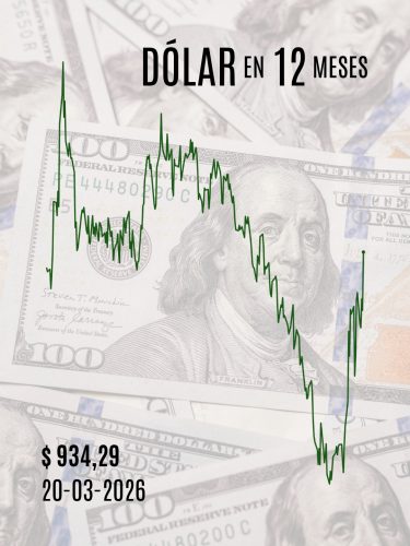 dolar 12 meses